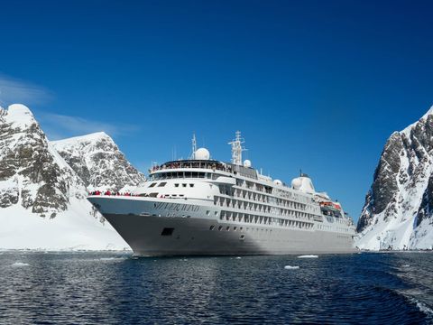 Arctic Expedition Cruises: A Complete Guide to Polar Travel Adventures