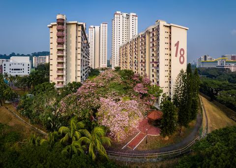 Guide to Lab-Grown Diamonds: Benefits, Process, and Value